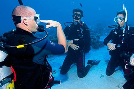 PADI Open Water Diver Course