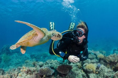 PADI Divemaster Course