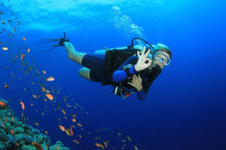 PADI Project Aware Specialist