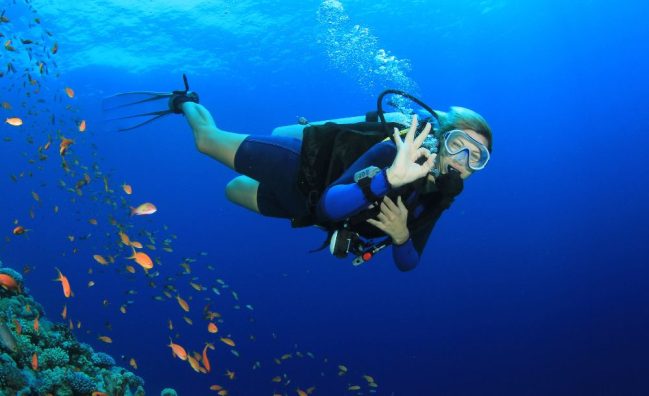 PADI Project Aware Specialist